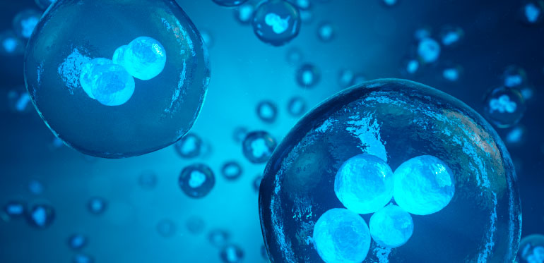 Congelamento de Óvulos em Guarulhos